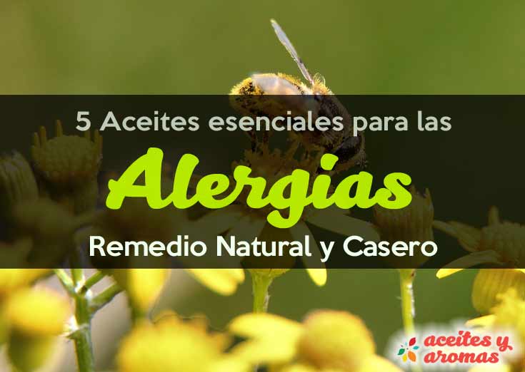 5 Aceites Esenciales para la Alergia: Remedio Natural y Casero