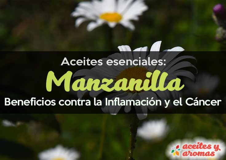 Beneficios de la Manzanilla